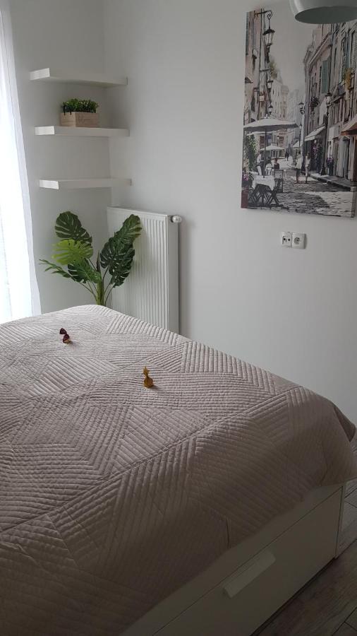 Boznicza Old Town Lux Apartment, Self Check-In 24H, Free Parking Posen Exterior foto